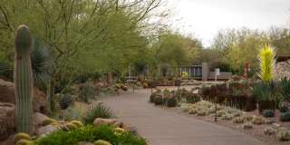 Modera Rio Salado Gallery 45