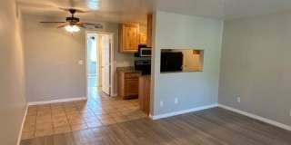 Ashford Apartments Gallery 8