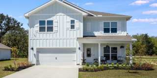 Hammock Oaks Estate Available in February! Gallery 1