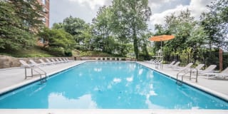 Dominion Plaza Gallery 7