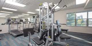 Onyx at 695 Gallery 16