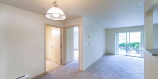 Palermo at Lakeland Gallery 25