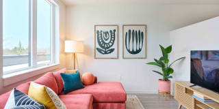 Novus Woodstock Gallery 10