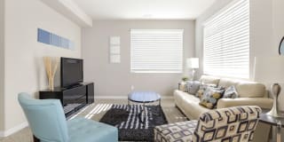 Olympus at The District Gallery 6