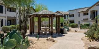 Rise Mountain Ridge Gallery 79