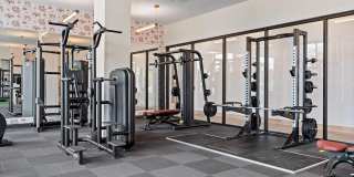 The Hallon Gallery 71