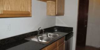 Willows on France Gallery 64