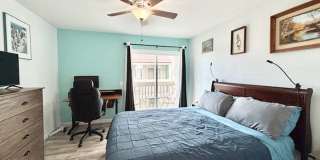 255 S. Ventura #238- MFR Gallery 22