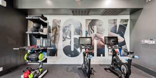 The Laurel Apartments Gallery 6