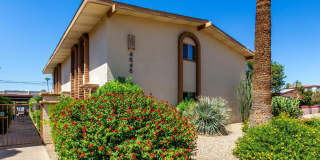 4848 N Woodmere Fairway Gallery 31