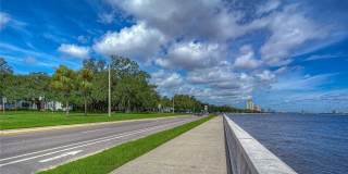 4907 BAYSHORE BOULEVARD Gallery 42