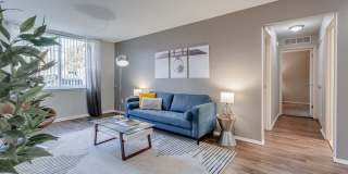 Spice Tree Gallery 1