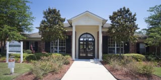 Ibis Trail Gallery 13