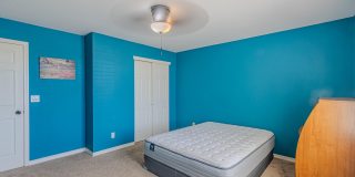 3240 PERUVIAN PASO Drive Gallery 29