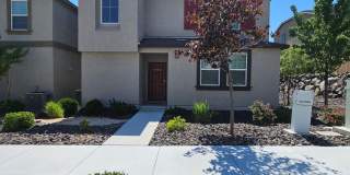 9774 Silver Dollar Lane Gallery 2