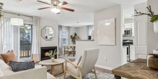 ReNew Marina Shores Gallery 1