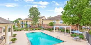 Spring Brook Gallery 1