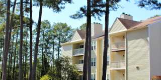 Bluff Ridge Gallery 26