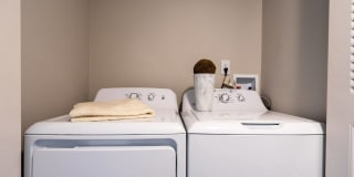Ashton Brook Gallery 14