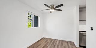 Finn Gallery 20