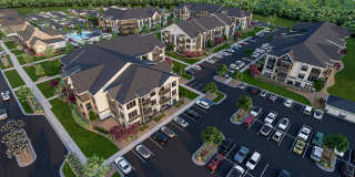 The Canter The Canter Gallery 15