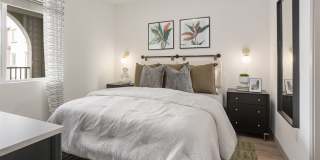 Alta Westwind Gallery 27