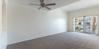 7100 PIRATES COVE Road Gallery 8