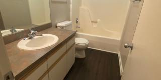 Harney Street Apartments Gallery 35