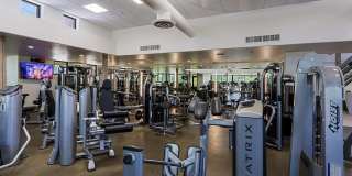 6939 E BRAMBLE BERRY Lane Gallery 78