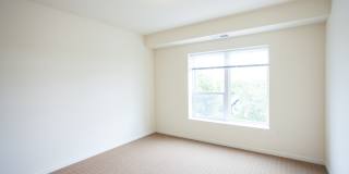 Broadway Flats Gallery 18