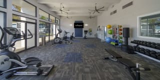 The Fitzgerald Gallery 6