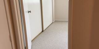 33055 Dolphin Court Gallery 14