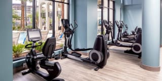 2Bayshore Gallery 47