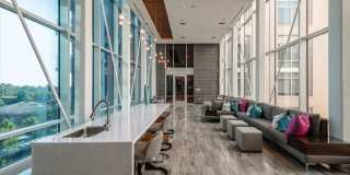 The Point at McLean Gallery 14