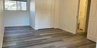Recently Renovated 1BR! Lovely Kitchen, Bathroom! (Madison) Gallery 6