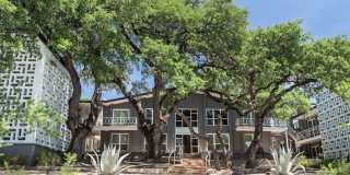 River Oaks Gallery 31