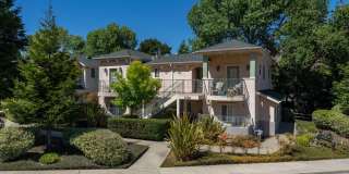 Newly renovated downstairs 1 bedroom 1 bath. Gallery 25