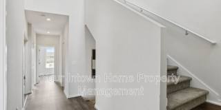 71 Lucy Street SE Gallery 18