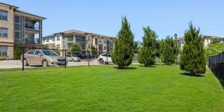 Alleia Presidio Gallery 27