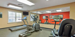 Memphis - Wolfchase Galleria Gallery 40