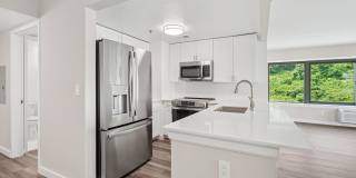 Half Moon Harbour Gallery 5