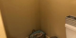 Large 4 Bedroom House in Newberg. Great Location! Gallery 1