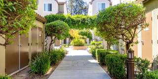 La Terraza Gallery 5