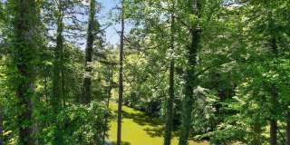 Charming 2BR Condo in Sandy Springs Gallery 32