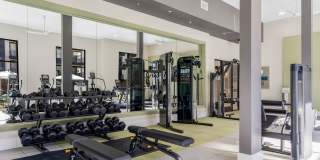 Alta Magnolia Gallery 38