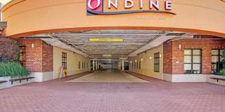 Ondine at Juanita Bay Gallery 39