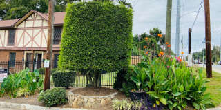 3 bedrooms /2 bath Condo Available Now Gallery 31