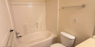 Beautiful 3 Bed, 2 Bath Condo in NW Fort Collins! Gallery 6