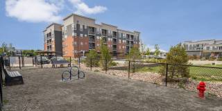 Nova West Gallery 41