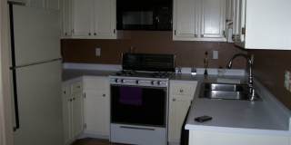 2204 SILVER PINE Drive Gallery 4